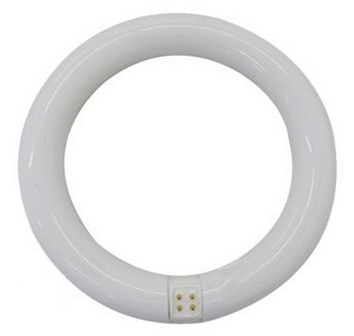 FLUORESCENTE CIRCULAR LED 20W 32cm T9 FRIA REF. ALG/62/448